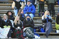 _MG_5384.jpg