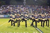 _MG_2609.jpg