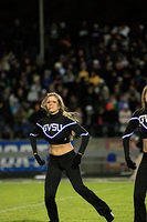 _MG_7541.jpg